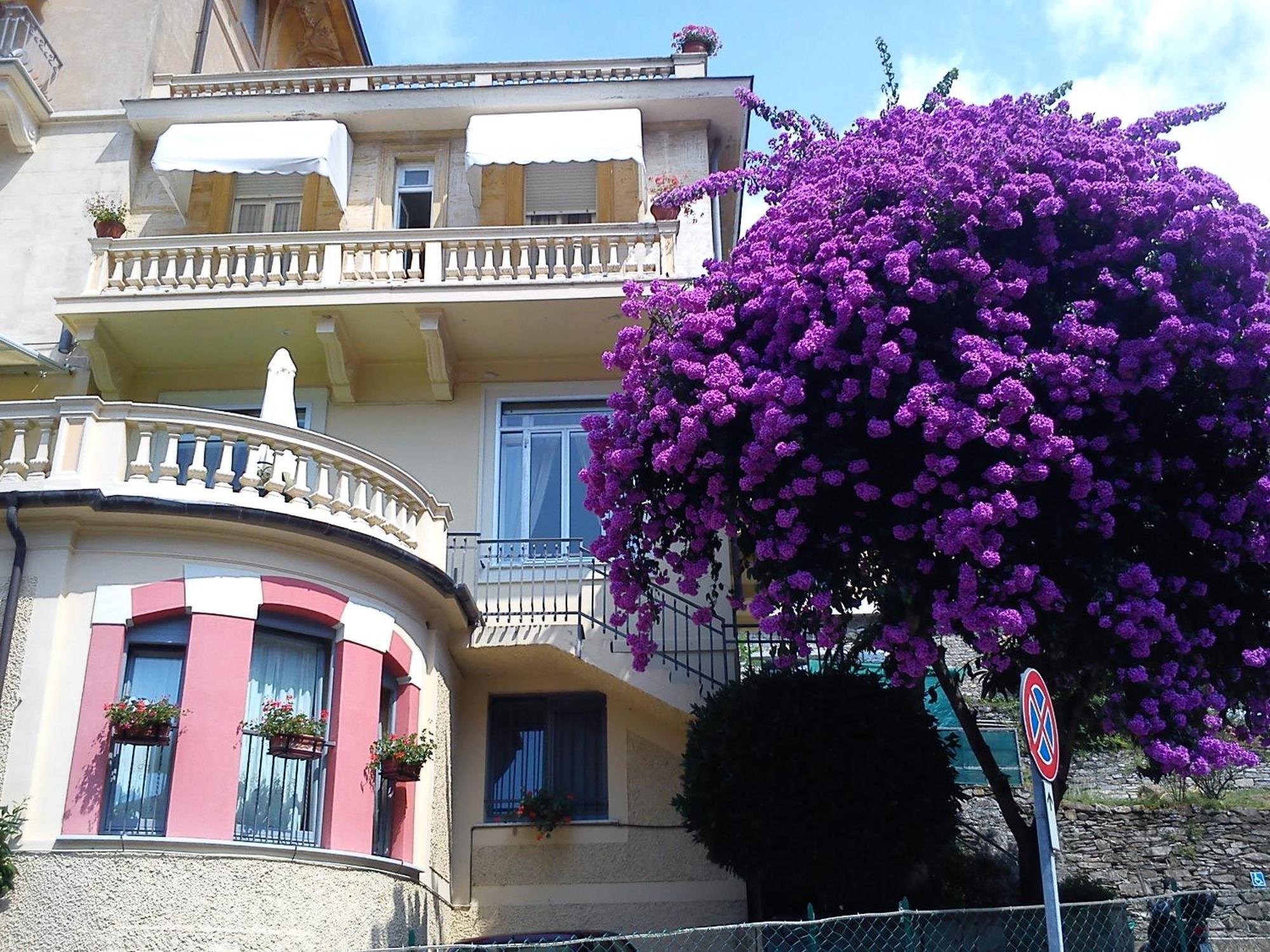 Hotel Canali, Portofino Coast Rapallo Exterior foto