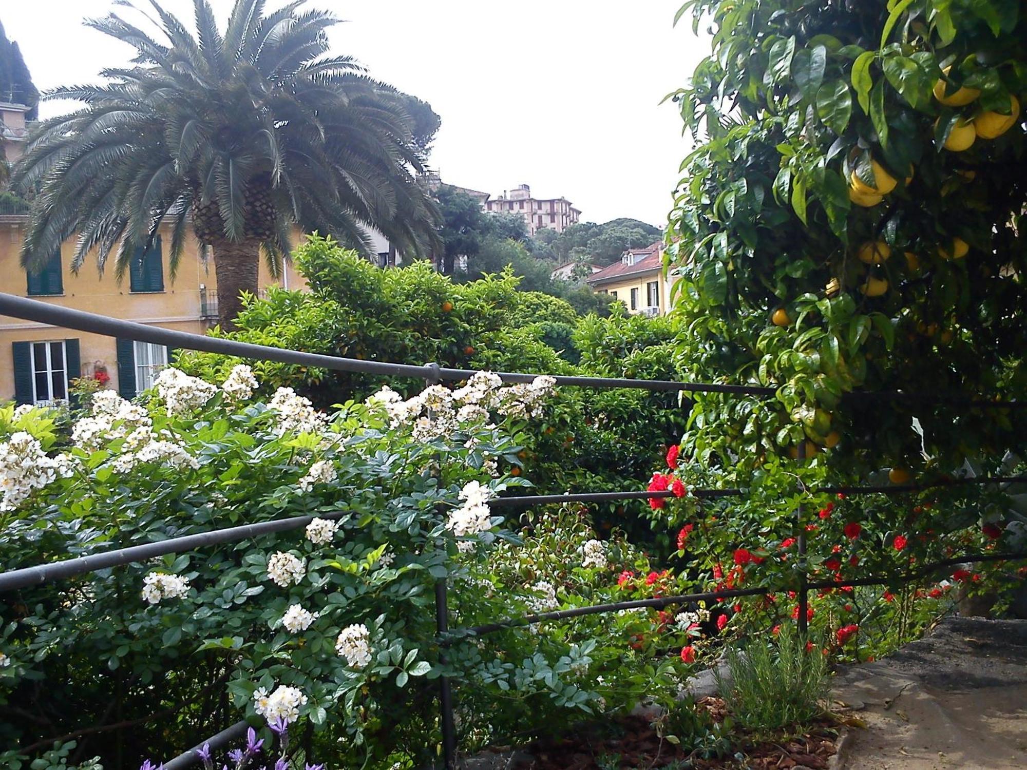 Hotel Canali, Portofino Coast Rapallo Exterior foto