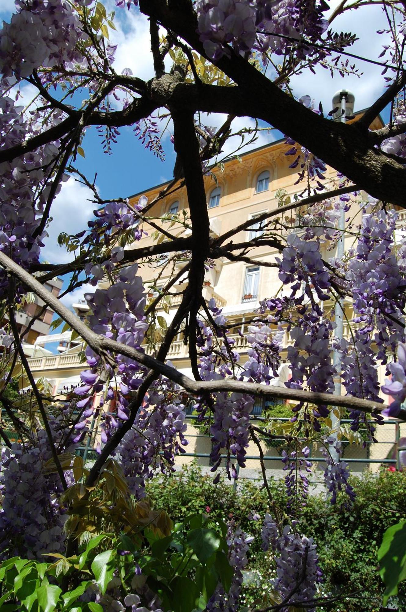 Hotel Canali, Portofino Coast Rapallo Exterior foto